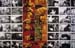 010 new family album