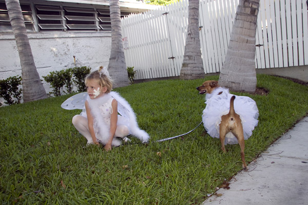 18 tutu dog and girl